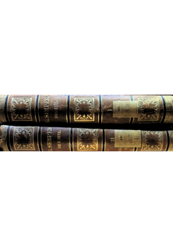 Der Stil in den technischen und tektonischen Kunsten oder praktische Aesthetik. Ein Handbuch fur Techniker, Kunstler und Kunstfreunde Volumen 1 und 2 1878 r.
