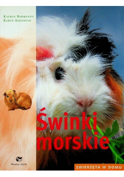 Świnki morskie