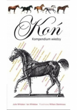 Koń Kompendium wiedzy
