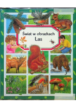 Świat w obrazkach Las