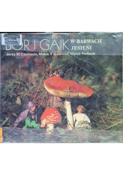 Bór i gaik w barwach