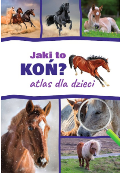Jaki to koń Atlas dla dzieci