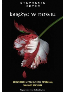 Księżyc w nowiu
