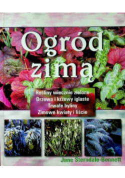 Ogród zimą