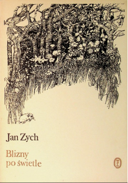 Blizny po świetle