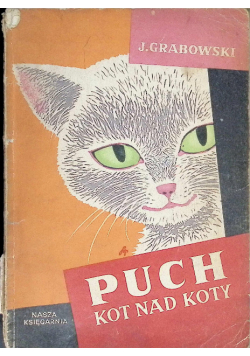 Puch kot nad koty