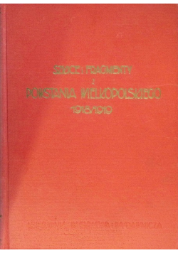Szkice i fragmenty z powstania wielkopolskiego 1918-1919 1933 r.