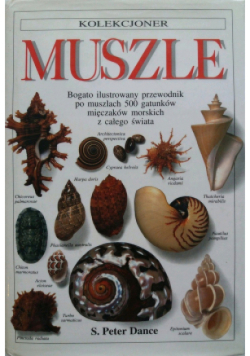 Muszle