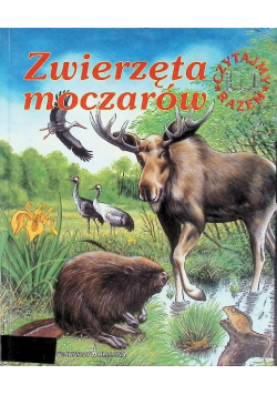 Zwierzęta moczarów