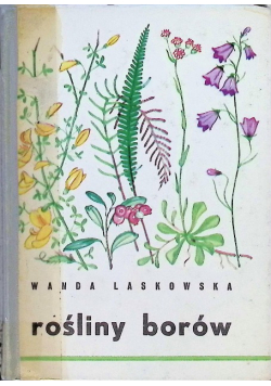 Rośliny borów