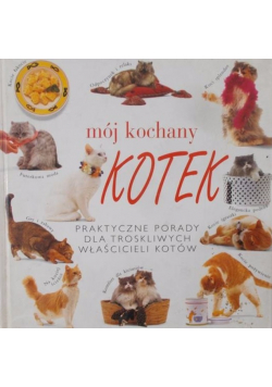Mój kochany kotek