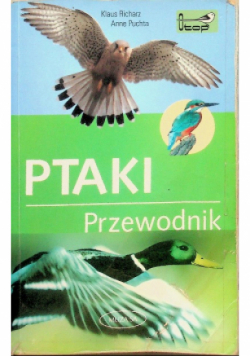 Ptaki Przewodnik