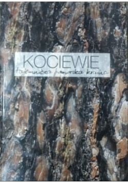 Kociewie tajemnicza pomorska kraina