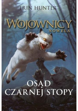 Osąd Czarnej Stopy