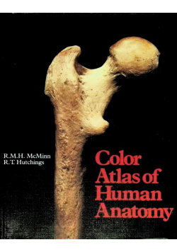 A Color Atlas of Human Anatomy