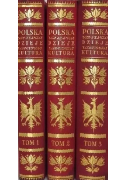 Polska jej dzieje i kultura od czasów najdawniejszych Tom 1 do 3