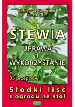 Stewia Uprawa i wykorzystanie