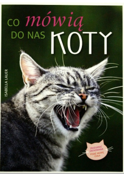 Co mówią do nas koty