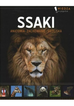Ssaki