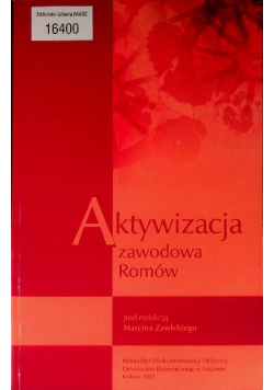 Aktywizacja zawodowa Romów
