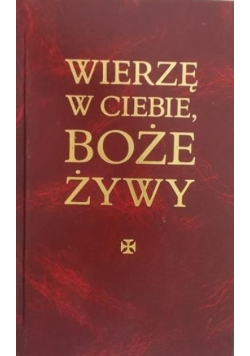 Wierzę w Ciebie Boże Żywy