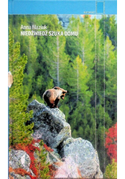 Niedźwiedź szuka domu