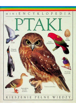 Mini encyklopedia ptaki