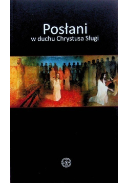 Posłani w duchu Chrystusa Sługi