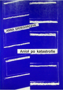 Anioł po katastrofie