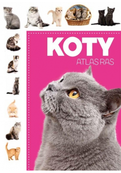 Koty Atlas ras