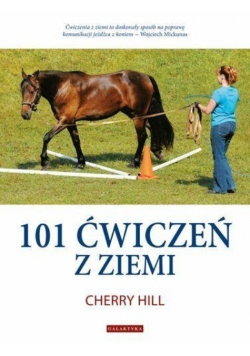 101 ćwiczeń z ziemi