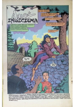 Batman Robin Anioł zniszczenia