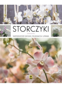 Storczyki Najpiękniejsze gatunki, pielęgnacja i uprawa