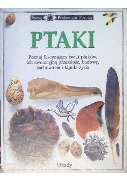 Ptaki