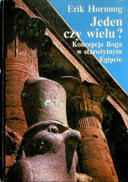 Jeden czy wielu?