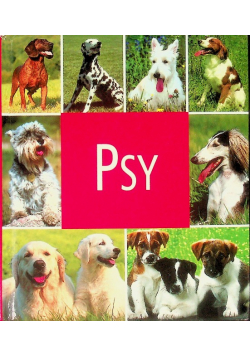 Psy