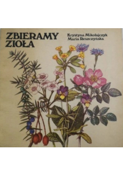 Zbieramy zioła