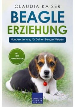 Beagle Erziehung: Hundeerziehung fur Deinen Beagle Welpen