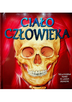 Ciało człowieka