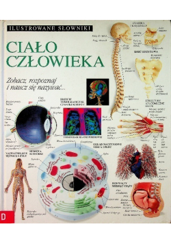 Ilustrowane słowniki Ciało człowieka