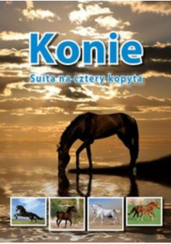 Konie
