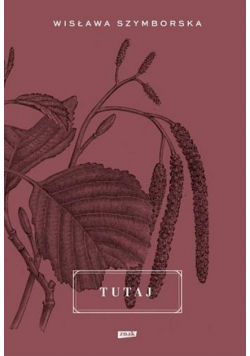 Tutaj