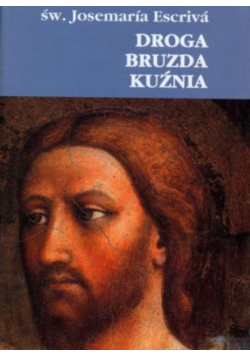 Droga Bruzda Kuźnia