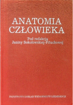 Anatomia człowieka