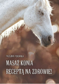 Masaż konia receptą na zdrowie