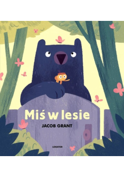 Miś w lesie