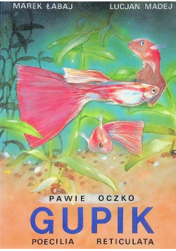 Pawie oczko gupik
