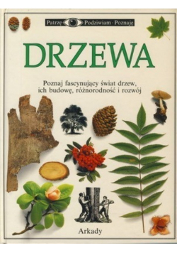Drzewa