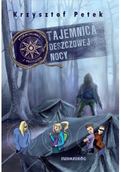 Tajemnica deszczowej nocy