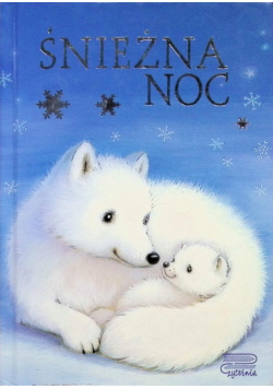Śnieżna noc